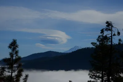 DSC_3158 (Large).JPG